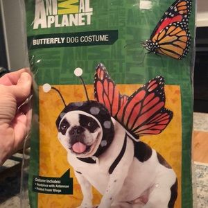 Animal planet / DOG costume- butterfly.   New in bag. Size SMALL